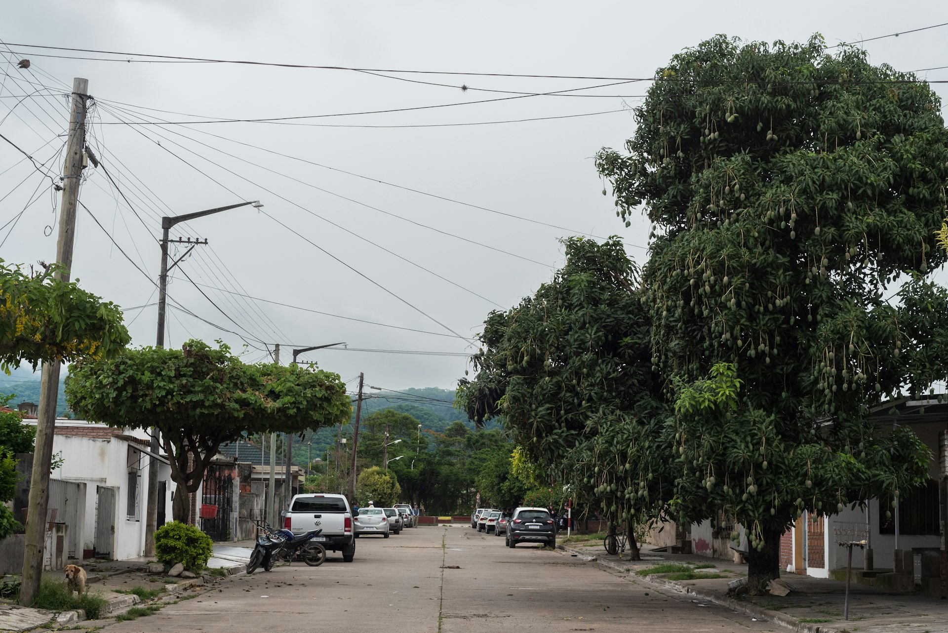 a street with cars parked on the side of it